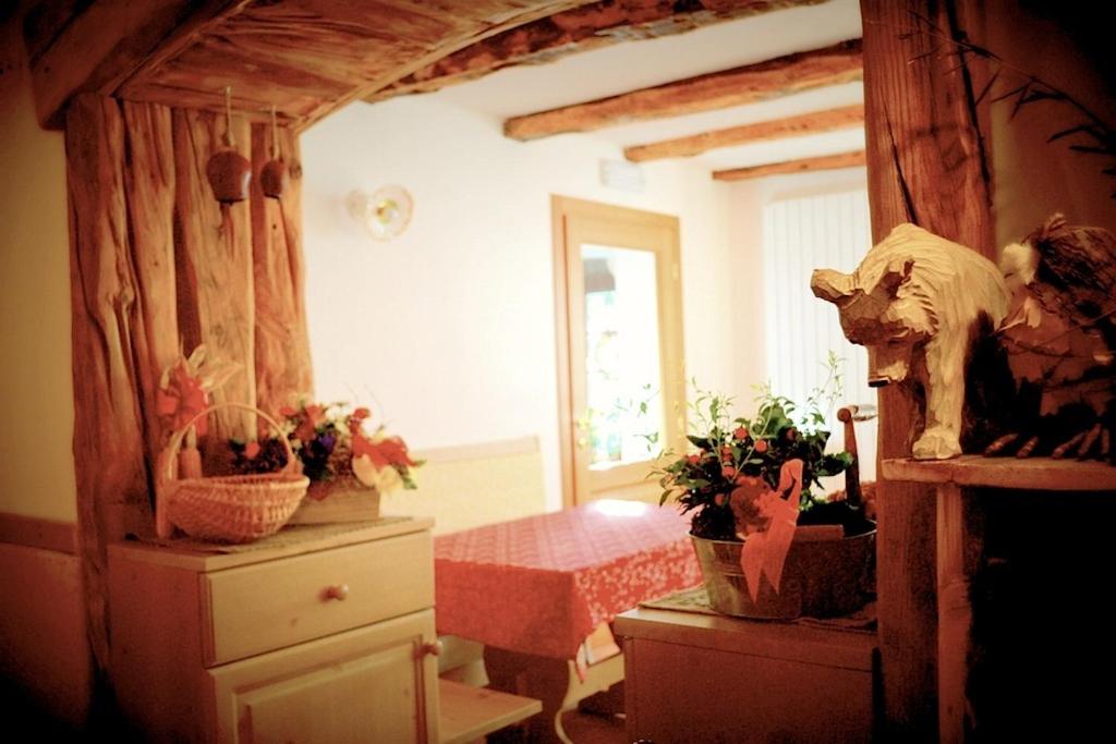 Imagen 5